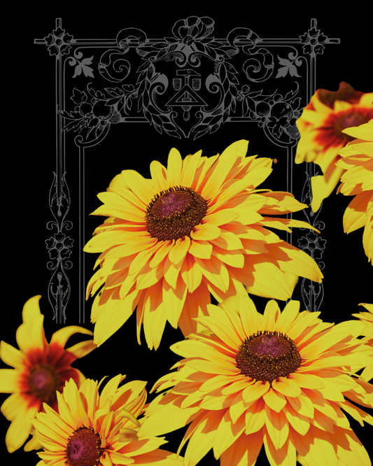 Goldilocks Rudbeckia Seeds